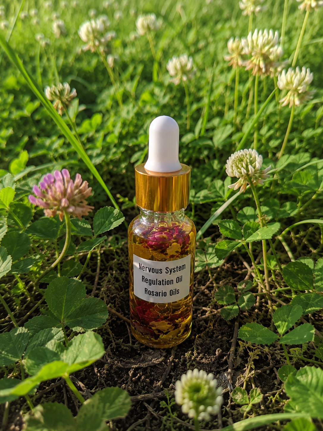 Nervous System Regulation Body Oil