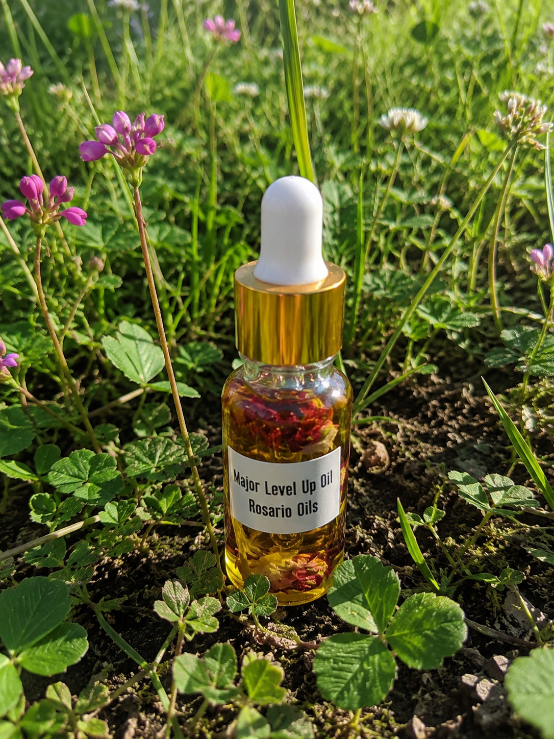 Major Level Up Body Oil